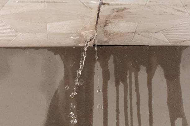 Professional Water Damage Repair technician working in Millington, IL